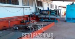 Laticínio â Venda 244 Alqueires com Lavoura de Grãos e Pecuária | Itapetininga/ SP