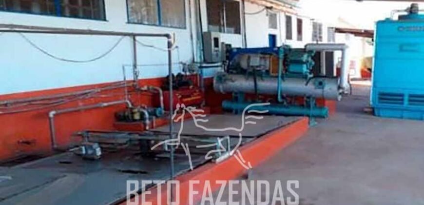 Laticínio â Venda 244 Alqueires com Lavoura de Grãos e Pecuária | Itapetininga/ SP