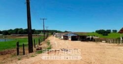 Laticínio â Venda 244 Alqueires com Lavoura de Grãos e Pecuária | Itapetininga/ SP