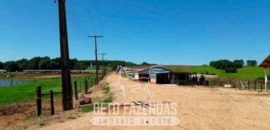 Laticínio â Venda 244 Alqueires com Lavoura de Grãos e Pecuária | Itapetininga/ SP