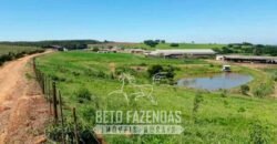 Laticínio â Venda 244 Alqueires com Lavoura de Grãos e Pecuária | Itapetininga/ SP