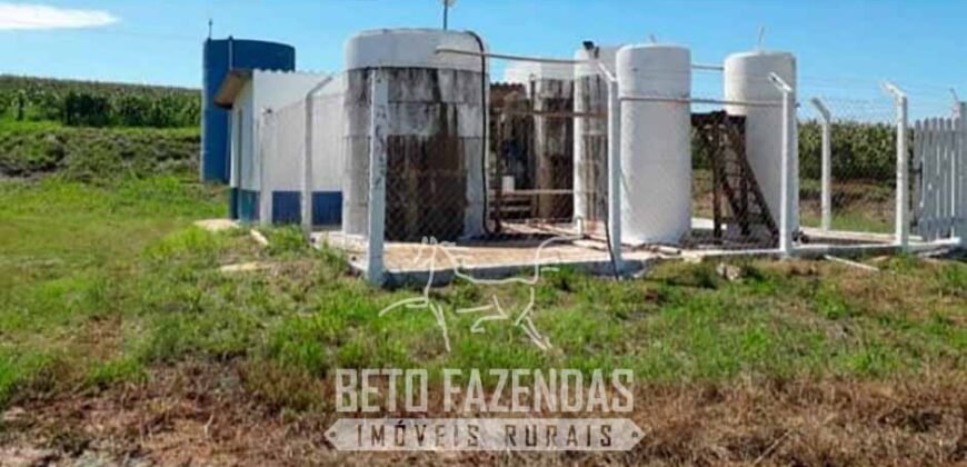 Laticínio â Venda 244 Alqueires com Lavoura de Grãos e Pecuária | Itapetininga/ SP