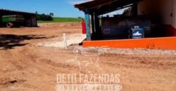 Laticínio â Venda 244 Alqueires com Lavoura de Grãos e Pecuária | Itapetininga/ SP