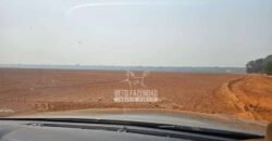 Fazenda à Venda 1.761 Has Lavoura Alta Produtividade e Logística | Vila dos Baianos/MT