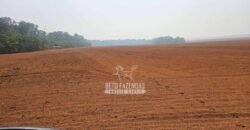 Fazenda à Venda 1.761 Has Lavoura Alta Produtividade e Logística | Vila dos Baianos/MT