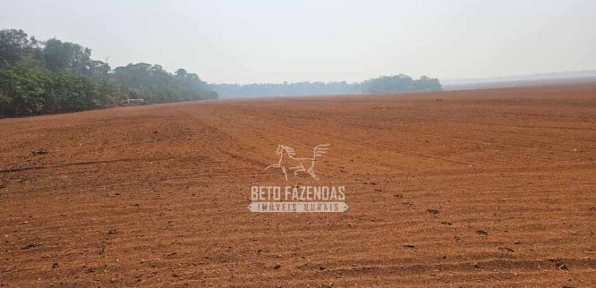Fazenda à Venda 1.761 Has Lavoura Alta Produtividade e Logística | Vila dos Baianos/MT