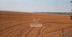Fazenda à Venda 1.761 Has Lavoura Alta Produtividade e Logística | Vila dos Baianos/MT