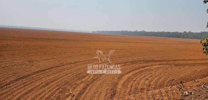 Fazenda à Venda 1.761 Has Lavoura Alta Produtividade e Logística | Vila dos Baianos/MT