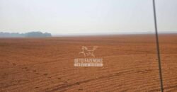Fazenda à Venda 1.761 Has Lavoura Alta Produtividade e Logística | Vila dos Baianos/MT