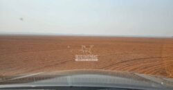 Fazenda à Venda 1.761 Has Lavoura Alta Produtividade e Logística | Vila dos Baianos/MT