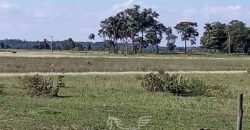 Fazenda à Venda 2.434 Hectares Estrutura Completa Pecuária e Lazer | Batayporã/ MT