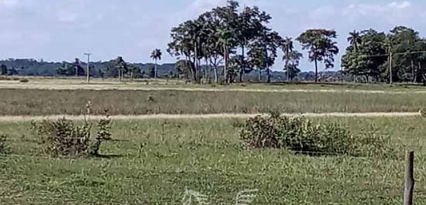 Fazenda à Venda 2.434 Hectares Estrutura Completa Pecuária e Lazer | Batayporã/ MT