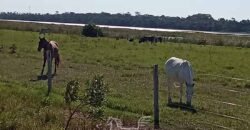 Fazenda à Venda 2.434 Hectares Estrutura Completa Pecuária e Lazer | Batayporã/ MT