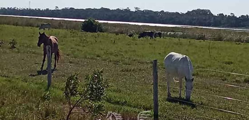 Fazenda à Venda 2.434 Hectares Estrutura Completa Pecuária e Lazer | Batayporã/ MT