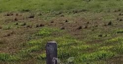 Fazenda à Venda 2.434 Hectares Estrutura Completa Pecuária e Lazer | Batayporã/ MT
