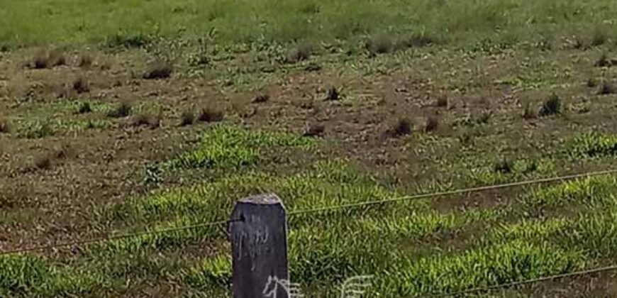 Fazenda à Venda 2.434 Hectares Estrutura Completa Pecuária e Lazer | Batayporã/ MT