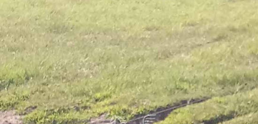 Fazenda à Venda 2.434 Hectares Estrutura Completa Pecuária e Lazer | Batayporã/ MT