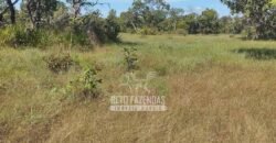 Fazenda à Venda 14.800 Has Riqueza Hídrica Potencial Turístico e Pecuária | Ribeirão Cascalheira/MT