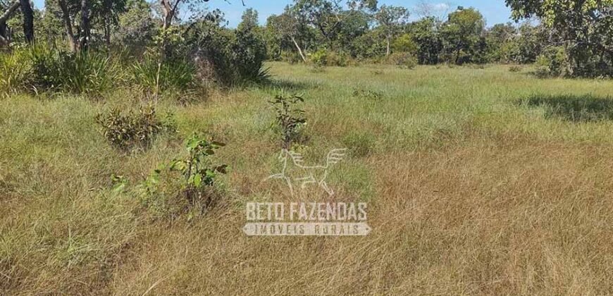 Fazenda à Venda 14.800 Has Riqueza Hídrica Potencial Turístico e Pecuária | Ribeirão Cascalheira/MT