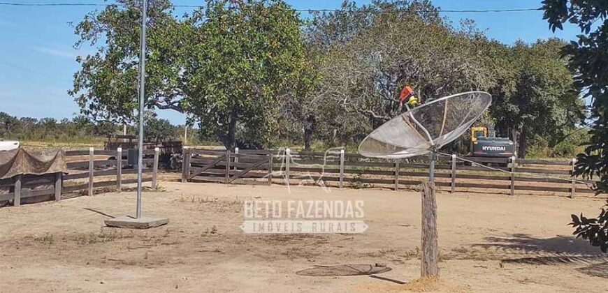 Fazenda à Venda 14.800 Has Riqueza Hídrica Potencial Turístico e Pecuária | Ribeirão Cascalheira/MT