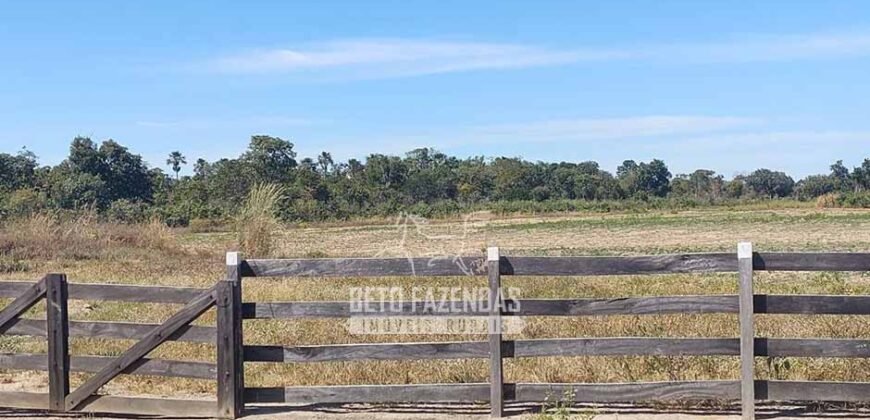 Fazenda à Venda 14.800 Has Riqueza Hídrica Potencial Turístico e Pecuária | Ribeirão Cascalheira/MT