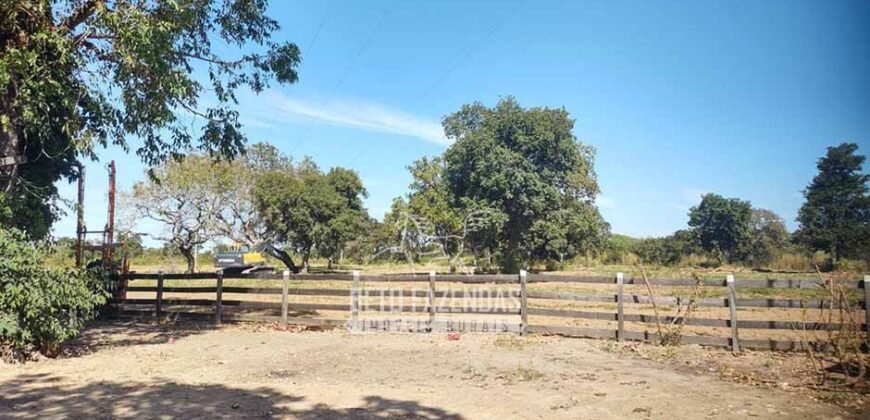 Fazenda à Venda 14.800 Has Riqueza Hídrica Potencial Turístico e Pecuária | Ribeirão Cascalheira/MT