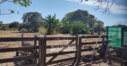 Fazenda à Venda 14.800 Has Riqueza Hídrica Potencial Turístico e Pecuária | Ribeirão Cascalheira/MT