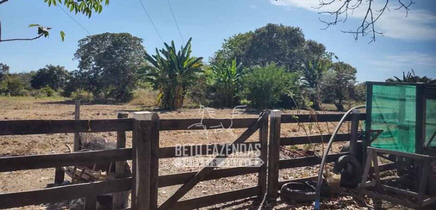 Fazenda à Venda 14.800 Has Riqueza Hídrica Potencial Turístico e Pecuária | Ribeirão Cascalheira/MT