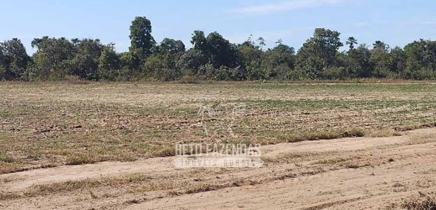 Fazenda à Venda 14.800 Has Riqueza Hídrica Potencial Turístico e Pecuária | Ribeirão Cascalheira/MT