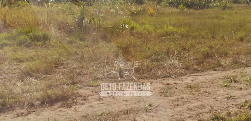 Fazenda à Venda 14.800 Has Riqueza Hídrica Potencial Turístico e Pecuária | Ribeirão Cascalheira/MT