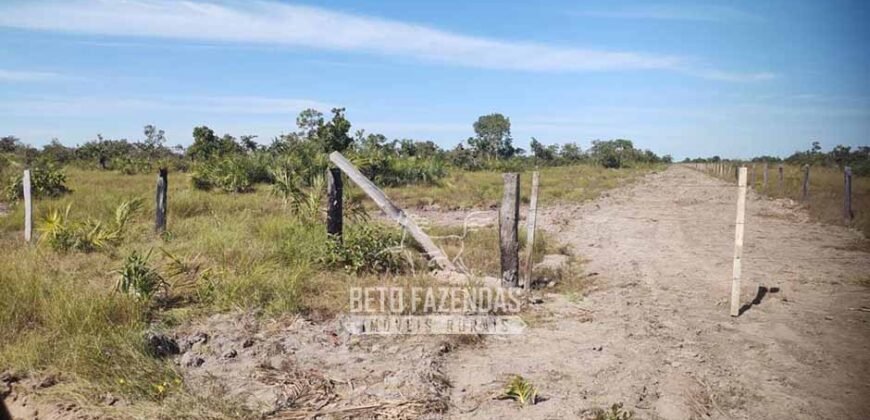Fazenda à Venda 14.800 Has Riqueza Hídrica Potencial Turístico e Pecuária | Ribeirão Cascalheira/MT