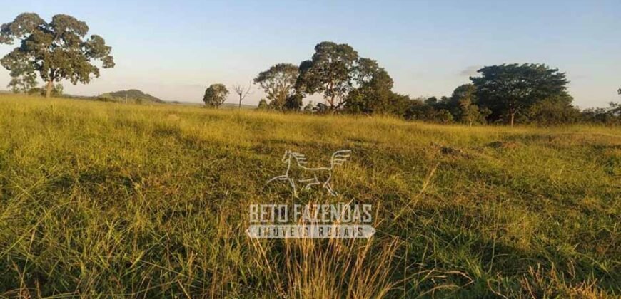 Fazenda à Venda 14.800 Has Riqueza Hídrica Potencial Turístico e Pecuária | Ribeirão Cascalheira/MT