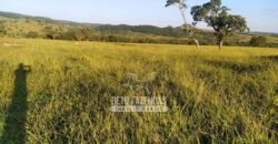 Fazenda à Venda 14.800 Has Riqueza Hídrica Potencial Turístico e Pecuária | Ribeirão Cascalheira/MT