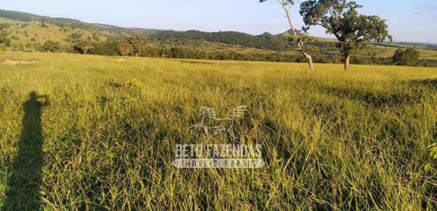 Fazenda à Venda 14.800 Has Riqueza Hídrica Potencial Turístico e Pecuária | Ribeirão Cascalheira/MT