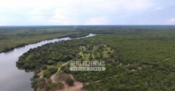 Fazenda à Venda 14.800 Has Riqueza Hídrica Potencial Turístico e Pecuária | Ribeirão Cascalheira/MT