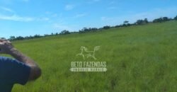 Fazenda à Venda 14.800 Has Riqueza Hídrica Potencial Turístico e Pecuária | Ribeirão Cascalheira/MT