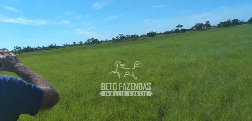 Fazenda à Venda 14.800 Has Riqueza Hídrica Potencial Turístico e Pecuária | Ribeirão Cascalheira/MT