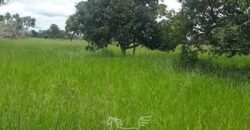 Fazenda à Venda 14.800 Has Riqueza Hídrica Potencial Turístico e Pecuária | Ribeirão Cascalheira/MT