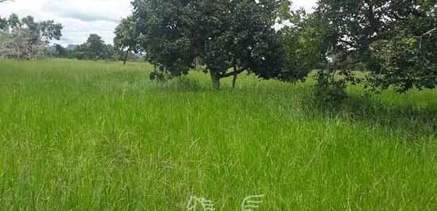 Fazenda à Venda 14.800 Has Riqueza Hídrica Potencial Turístico e Pecuária | Ribeirão Cascalheira/MT