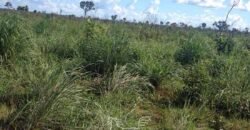 Fazenda à Venda 14.800 Has Riqueza Hídrica Potencial Turístico e Pecuária | Ribeirão Cascalheira/MT