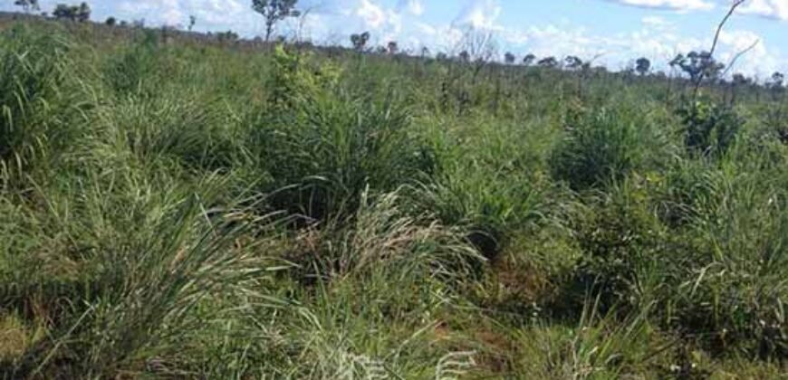 Fazenda à Venda 14.800 Has Riqueza Hídrica Potencial Turístico e Pecuária | Ribeirão Cascalheira/MT
