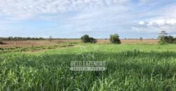 Fazenda à Venda 14.800 Has Riqueza Hídrica Potencial Turístico e Pecuária | Ribeirão Cascalheira/MT