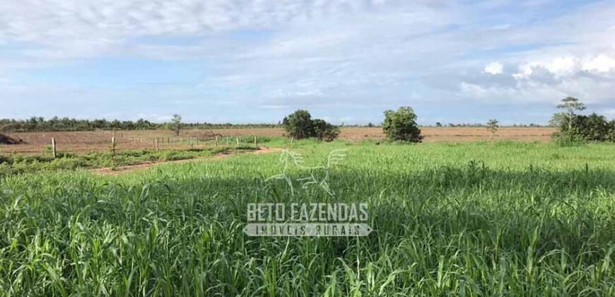 Fazenda à Venda 14.800 Has Riqueza Hídrica Potencial Turístico e Pecuária | Ribeirão Cascalheira/MT