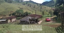 Fazenda à Venda 430 Alqueires Estrutura p/ Pecuária | Barra do Turvo/ SP