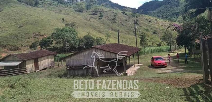 Fazenda à Venda 430 Alqueires Estrutura p/ Pecuária | Barra do Turvo/ SP