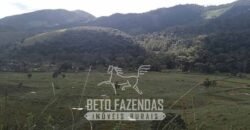 Fazenda à Venda 430 Alqueires Estrutura p/ Pecuária | Barra do Turvo/ SP
