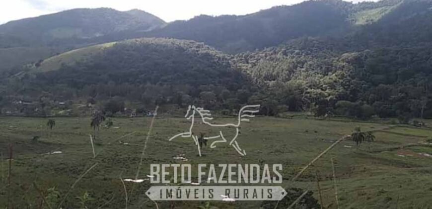 Fazenda à Venda 430 Alqueires Estrutura p/ Pecuária | Barra do Turvo/ SP