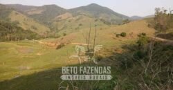 Fazenda à Venda 430 Alqueires Estrutura p/ Pecuária | Barra do Turvo/ SP