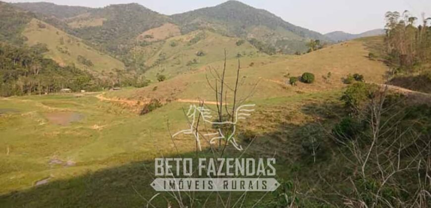 Fazenda à Venda 430 Alqueires Estrutura p/ Pecuária | Barra do Turvo/ SP