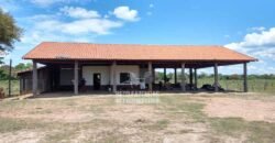 Fazenda à Venda 2.508 hectares Pecuária e Potencial p/ Mineração | Pedra Petra / MT